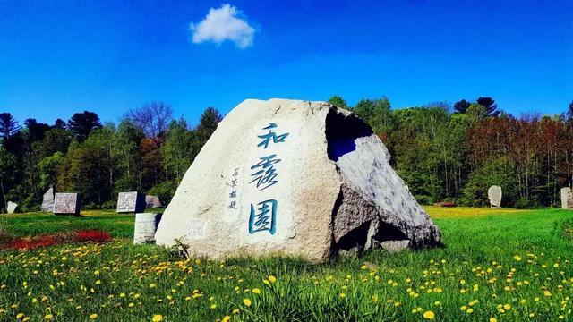 为什么说普通人不要炒股？游戏画面