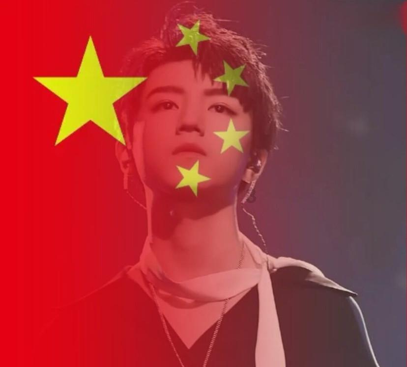 拯救受伤的猫